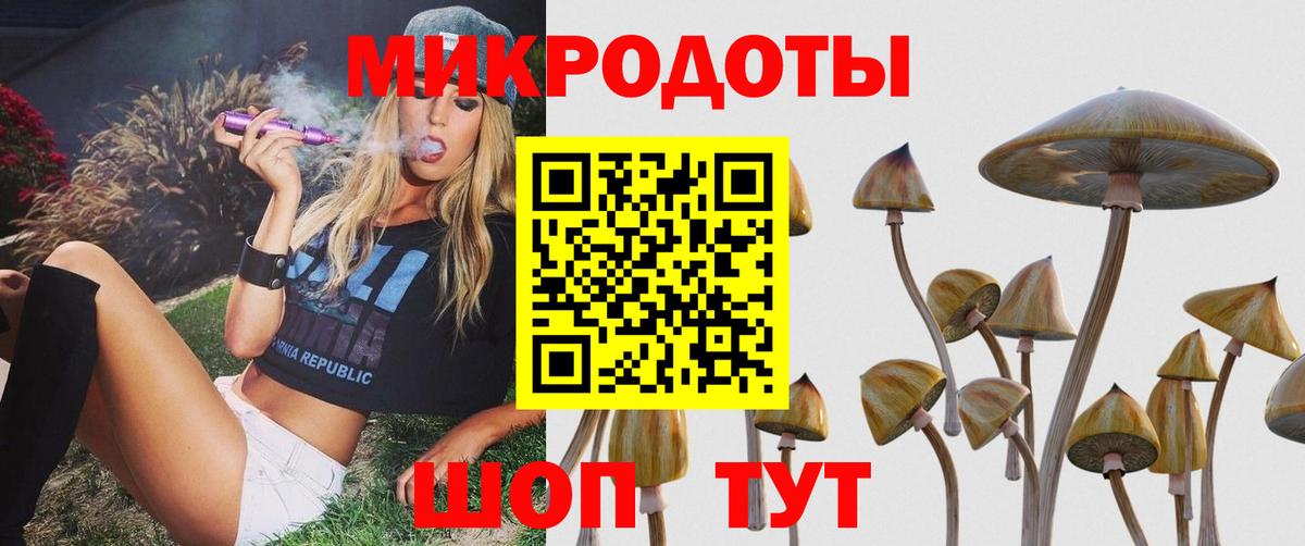 Вольск  Псилоцибиновые грибы Magic Shrooms  магазин  наркотиков  Вход с VPN  Галлюциногенные грибы мицелий 