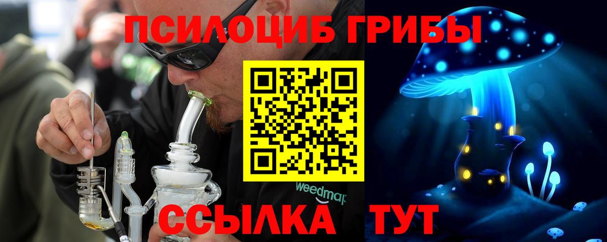 Псилоцибиновые грибы прущие грибы Вольск